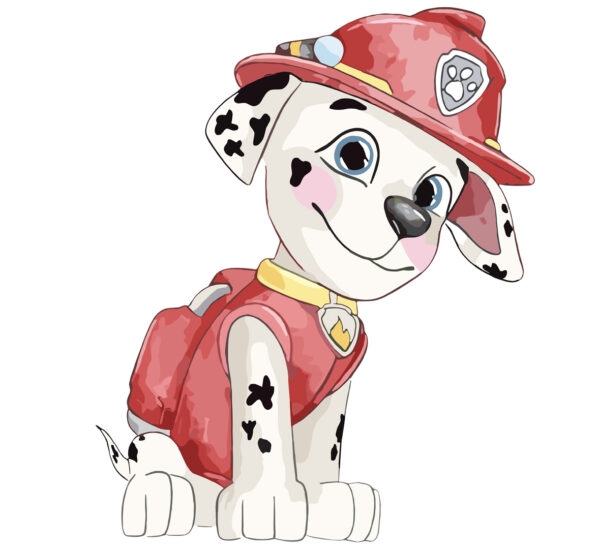 MEDIUM MARSHAL PAW PATROL DISPLAY