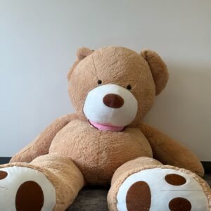 brown teddy bear