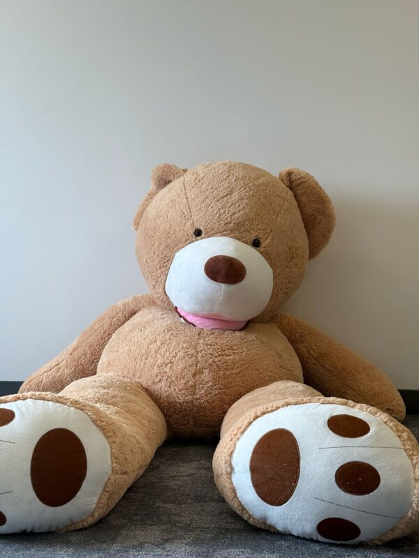 brown teddy bear