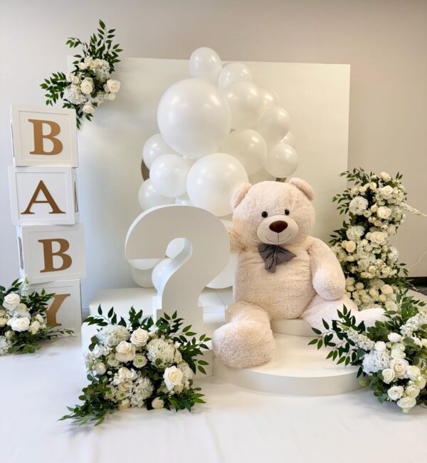 KIT GENDER REVEAL TEDDY BEAR