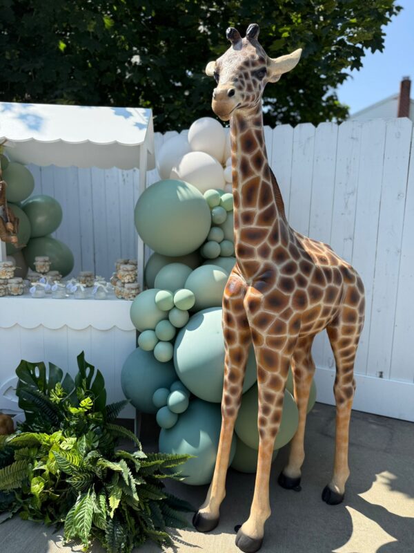 BABY GIRAFFE