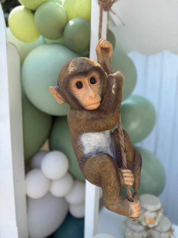MONKEY