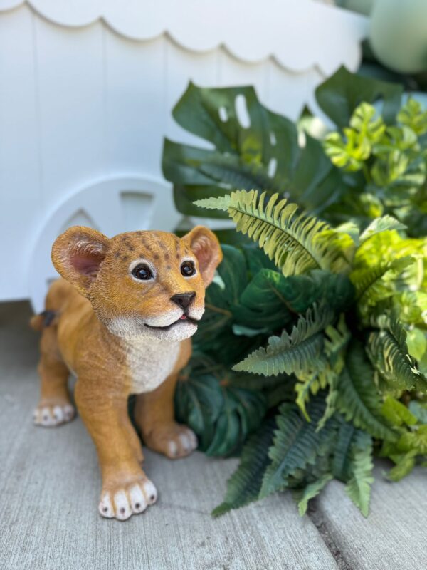 BABY LION
